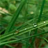 九游下载